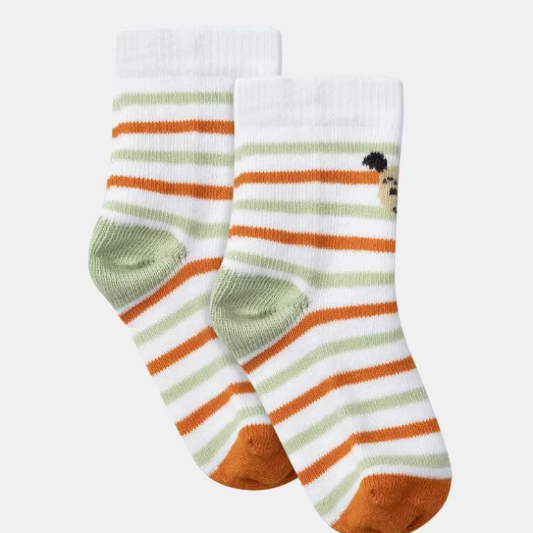 Sergent Major Chaussettes | Chaussettes Rayees Chien