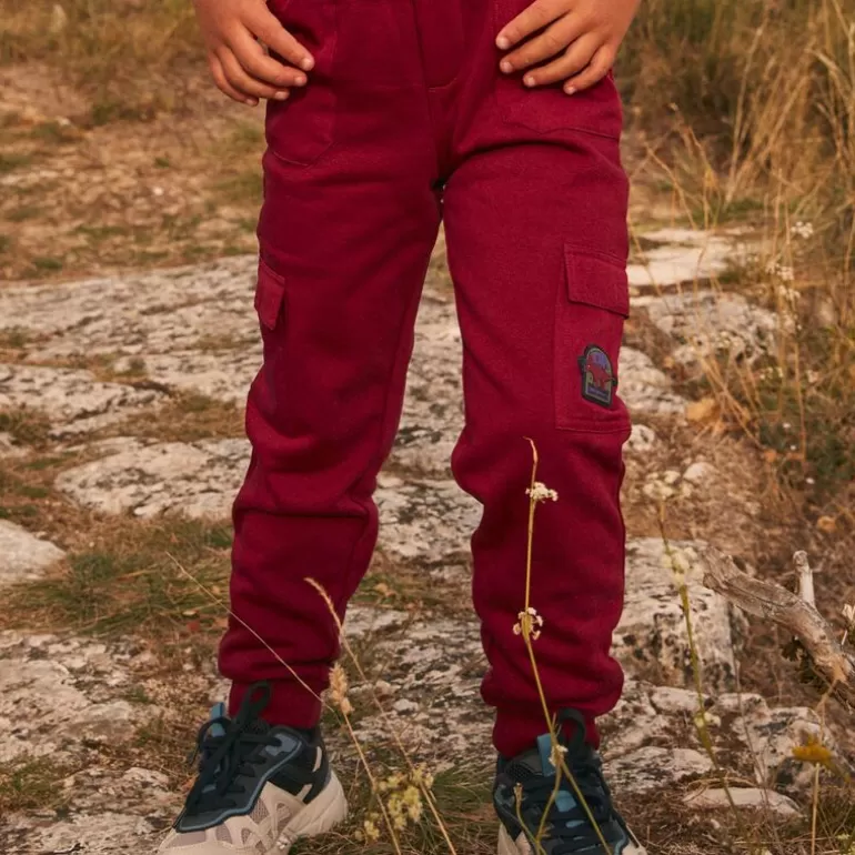 Sergent Major Pantalon & Jean | Pantalon Cargo Bordeaux Confortable